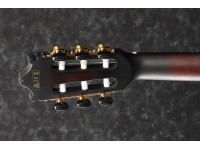 Ibanez GA35TCE-DVS Ibanez GA35TCE-DVS